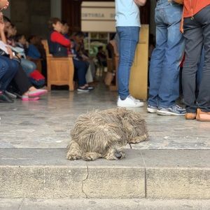 Meet your Posher, Candy